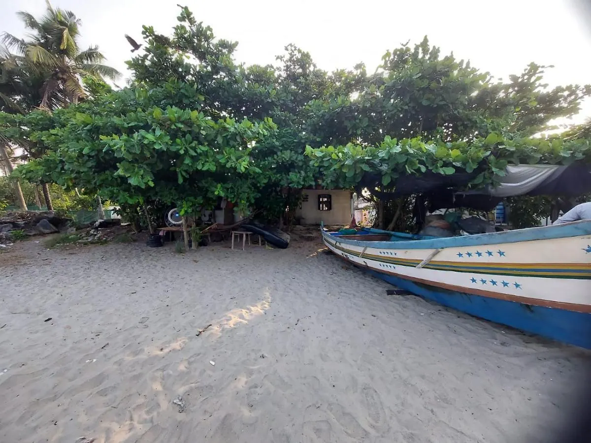 Beachcampers Only For Foreign Traveler'S Alappuzha 0*,  India